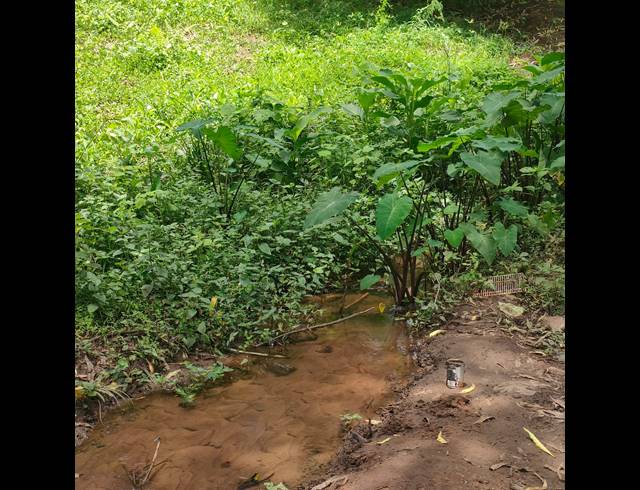 6,000M² VACANT LAND FOR SALE IN CLIFTON PARK